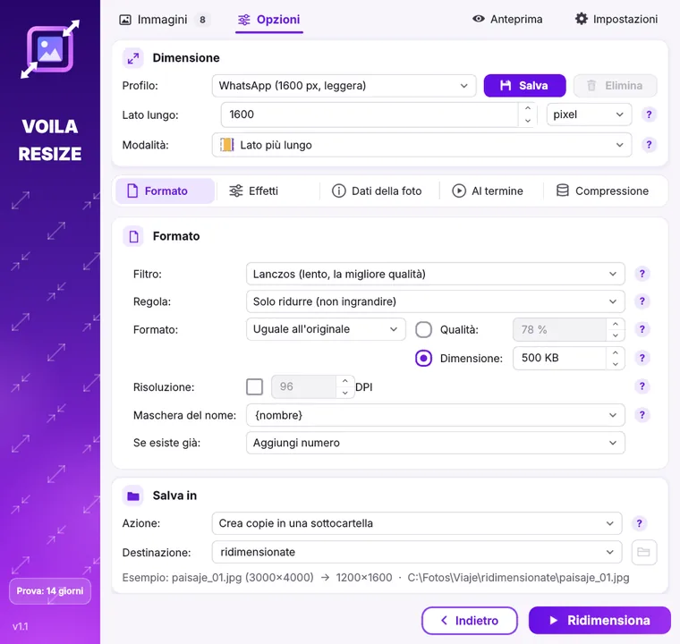 Finestra di Voila Resize con le opzioni di dimensione, formato e destinazione